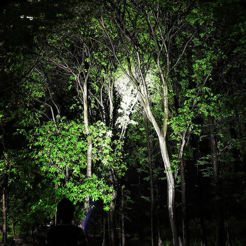 Christmas Special: Buy More, Save MoreSpecial Forces Strong Light Flashlight
