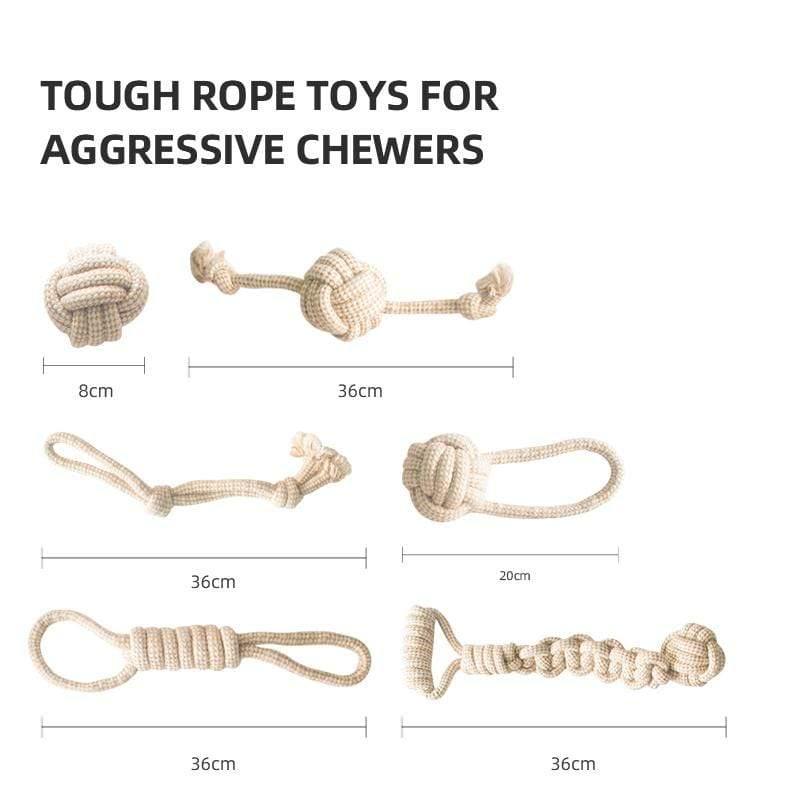 Organic Cotton Dog Toy Set
