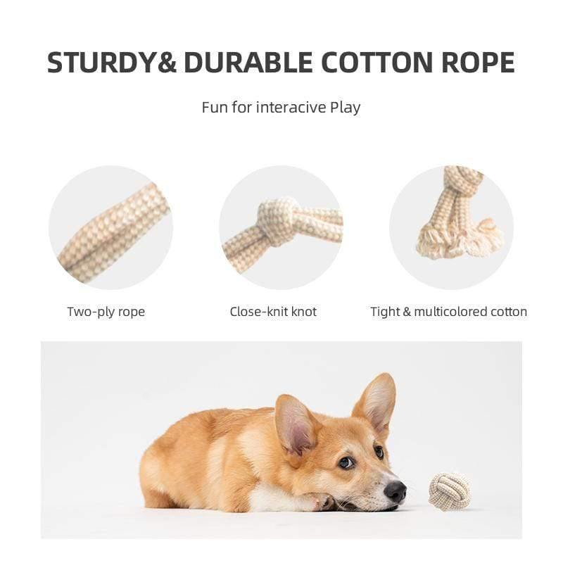 Organic Cotton Dog Toy Set