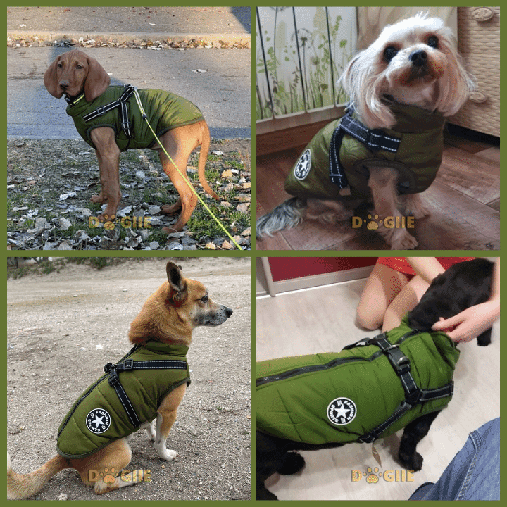 70% OFF TODAY Waterproof Winter Jacket with Built-in Harness