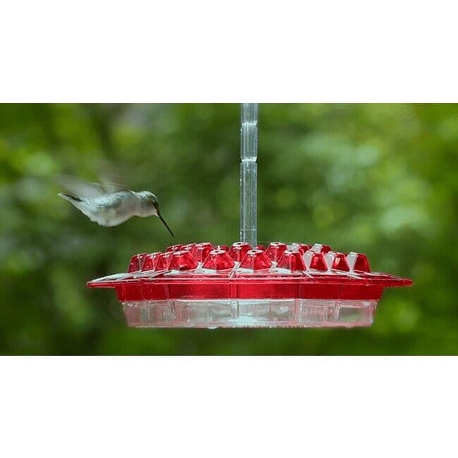 (Last Day Promotion-SAVE 50% OFF) Hummingbird Feeder With Perch And Built-in Ant Moat