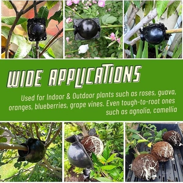 Early Christmas Sale 50% OFF - RootEasy Plant Rooting Box Seeding Case