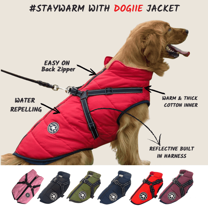 70% OFF TODAY Waterproof Winter Jacket with Built-in Harness