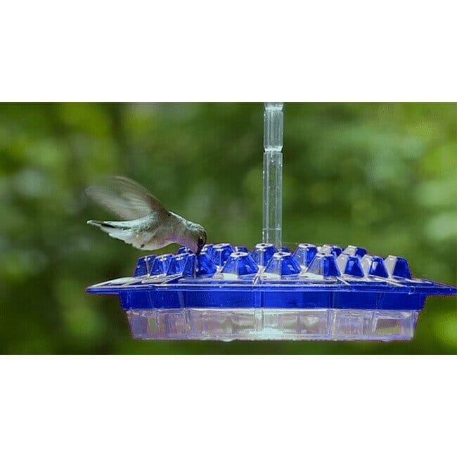 (Last Day Promotion-SAVE 50% OFF) Hummingbird Feeder With Perch And Built-in Ant Moat
