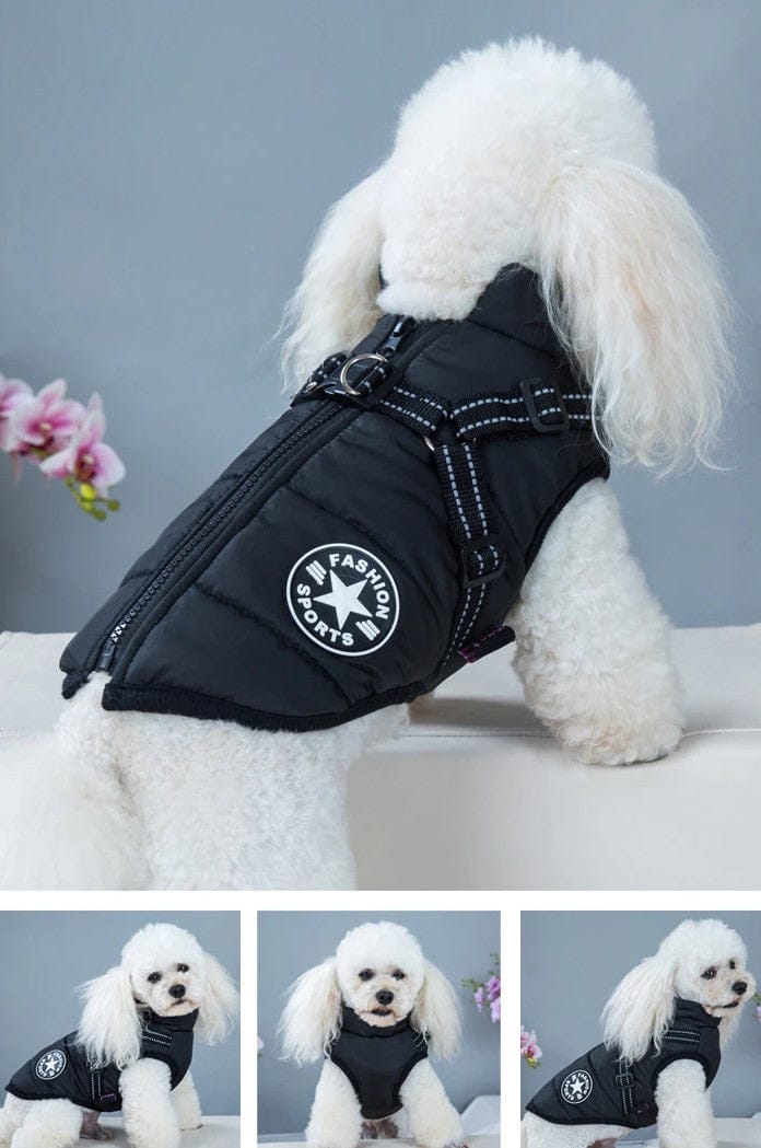 70% OFF TODAY Waterproof Winter Jacket with Built-in Harness