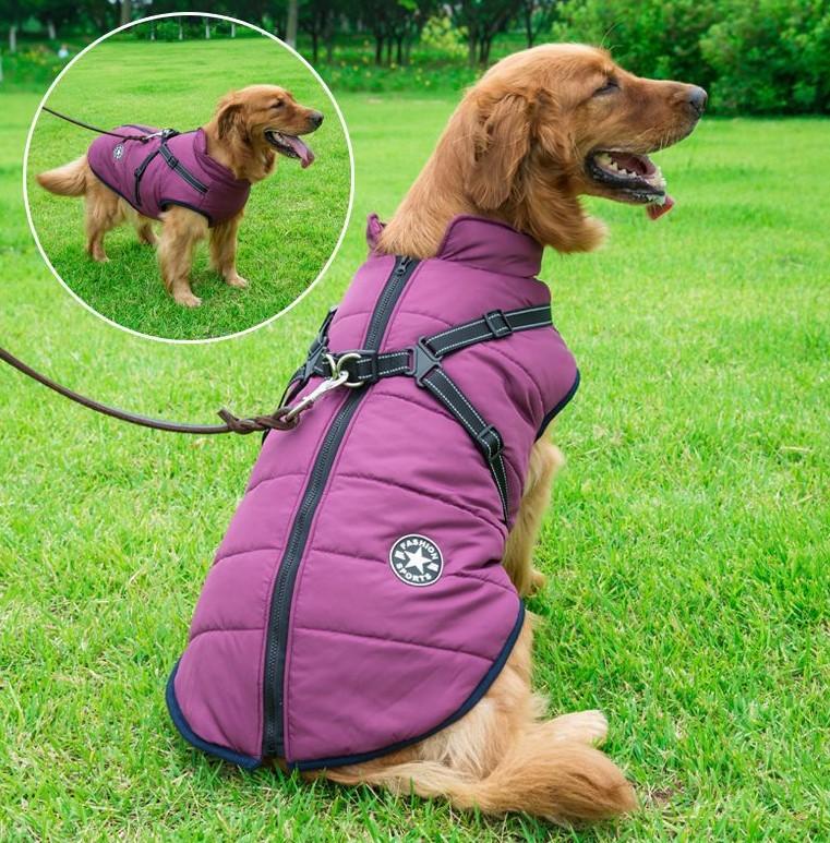 70% OFF TODAY Waterproof Winter Jacket with Built-in Harness