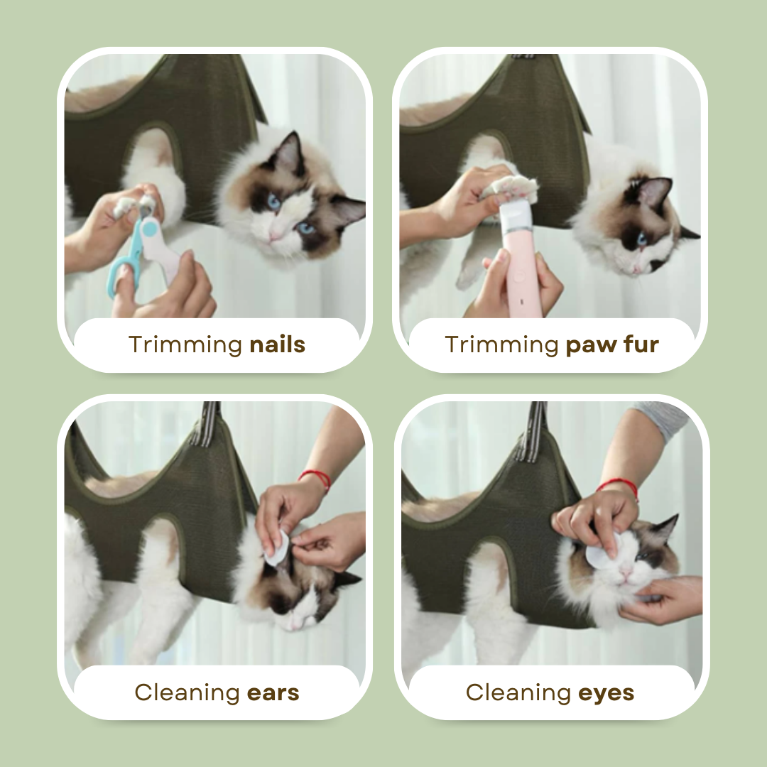 Multipurpose_a4a0c522-bf84-445e-9735-d294fd6421dc.png