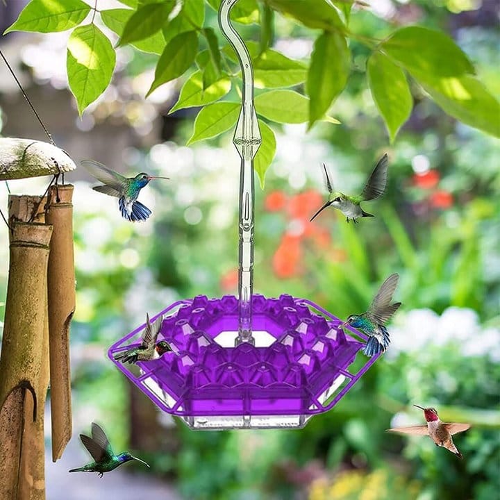 (Last Day Promotion-SAVE 50% OFF) Hummingbird Feeder With Perch And Built-in Ant Moat