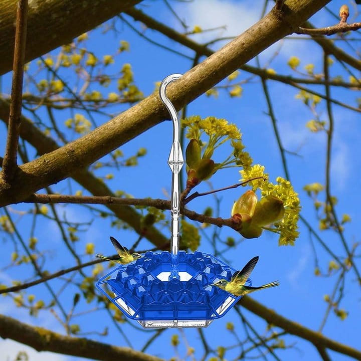 (Last Day Promotion-SAVE 50% OFF) Hummingbird Feeder With Perch And Built-in Ant Moat