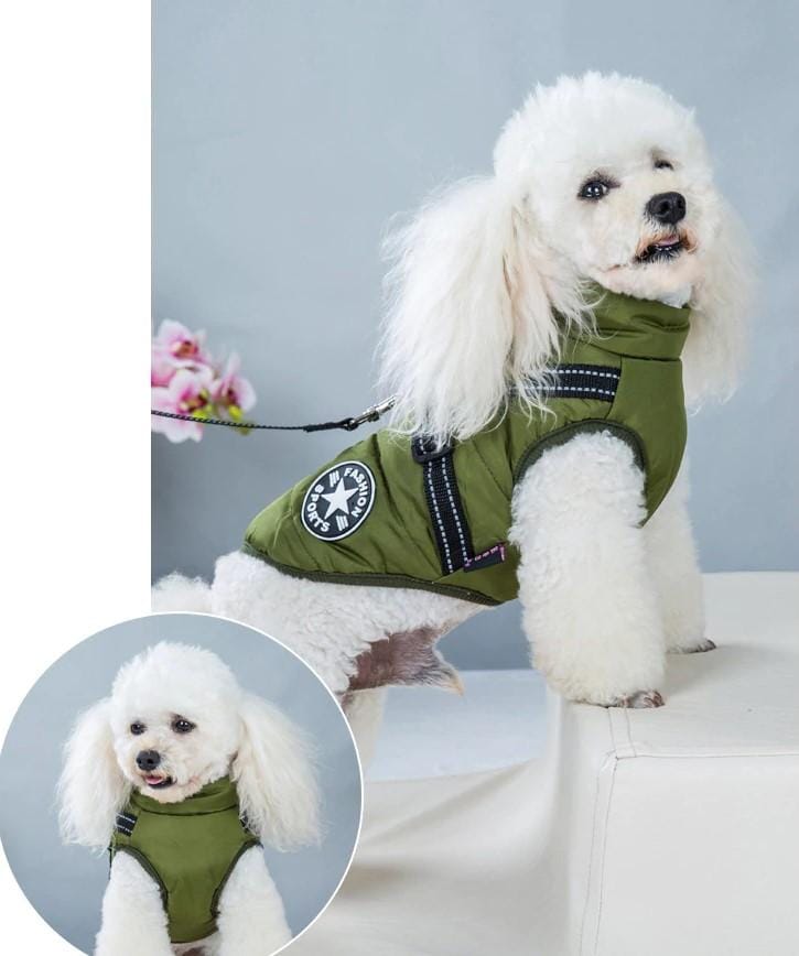 70% OFF TODAY Waterproof Winter Jacket with Built-in Harness
