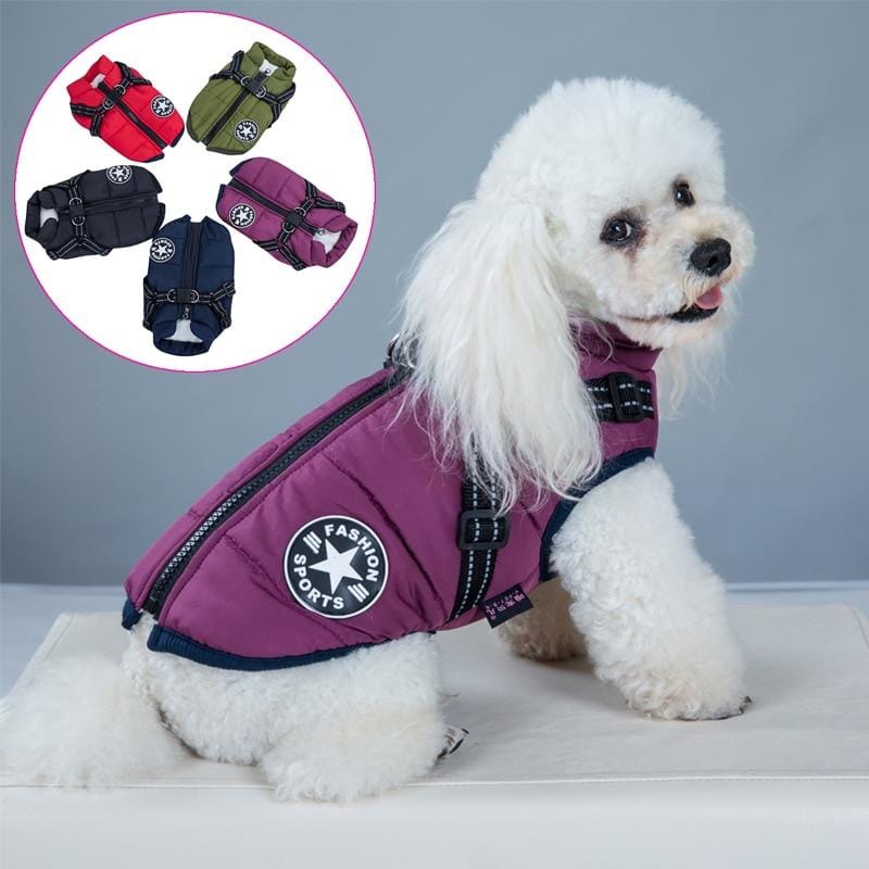 70% OFF TODAY Waterproof Winter Jacket with Built-in Harness