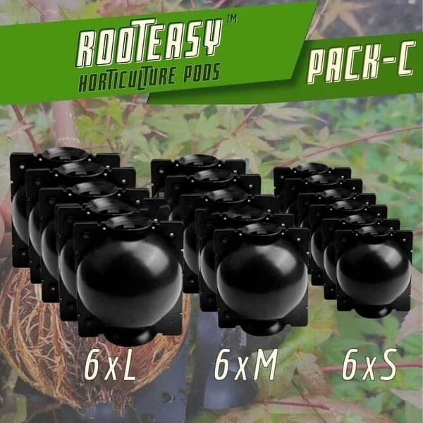 Early Christmas Sale 50% OFF - RootEasy Plant Rooting Box Seeding Case
