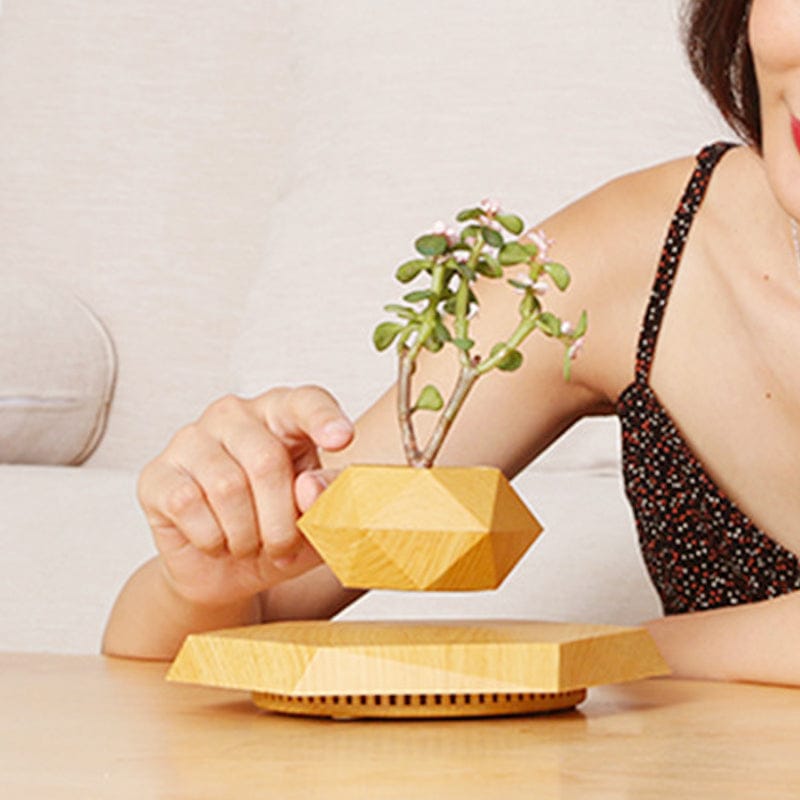 The latest black technology:Magnetic levitation planter (without plants)