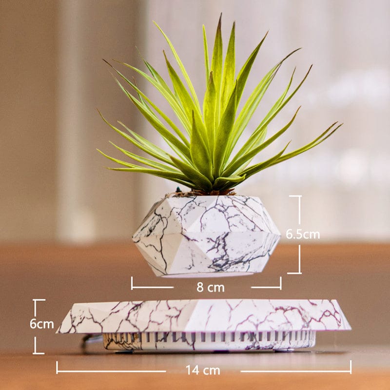 The latest black technology:Magnetic levitation planter (without plants)